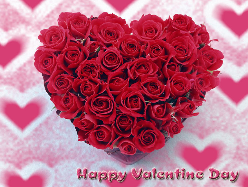 Hoa Valentine: Món quà tuyệt vời dành cho người bạn yêu trong ngày Valentine sắp đến đó chính là những bông hoa thơm ngát và xinh đẹp. Hãy cùng chiêm ngưỡng những hình ảnh về những bông hoa Valentine tuyệt đẹp và cùng bày tỏ tình yêu đến người mình yêu thương.